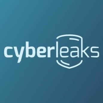 cyberleaks.to|Cyber Leak: Definition